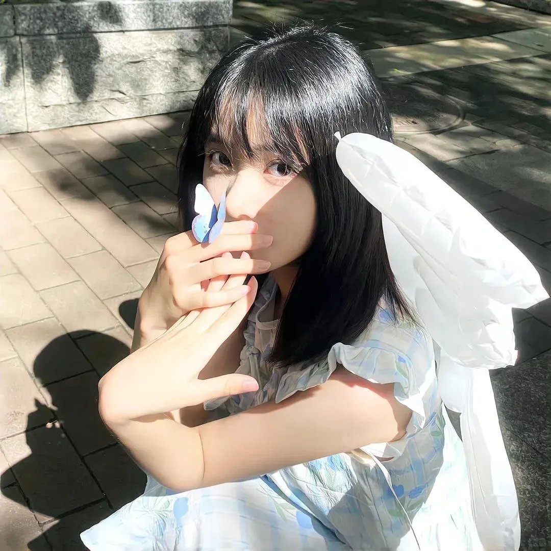 灰鸽子之歌